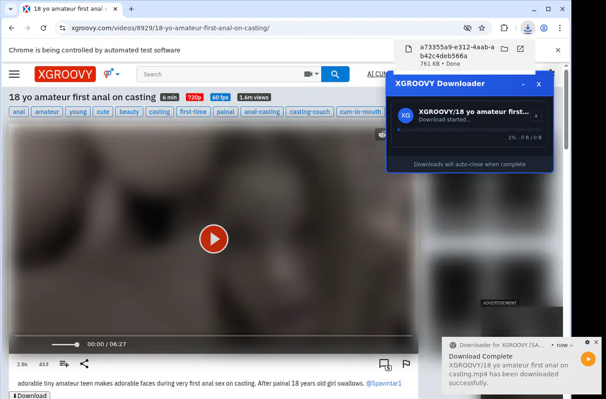 XGroovy Video Downloader screenshot 2