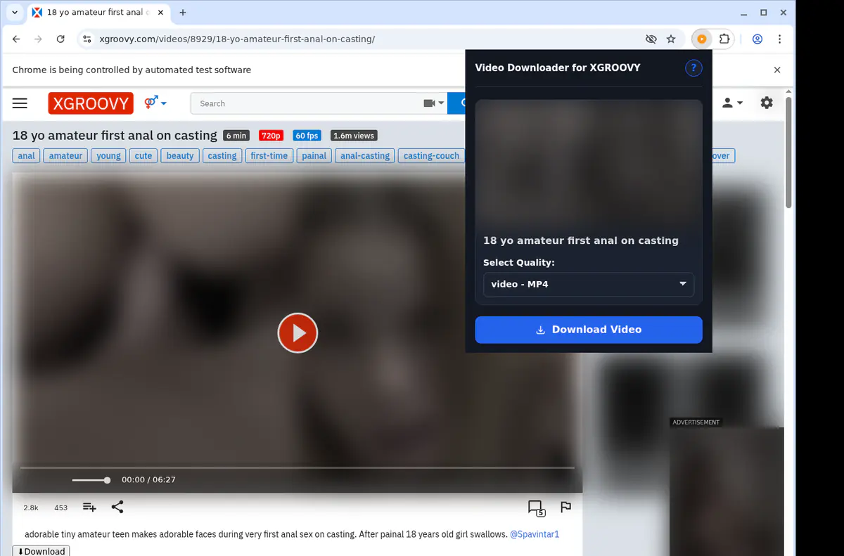 XGroovy Video Downloader screenshot 3